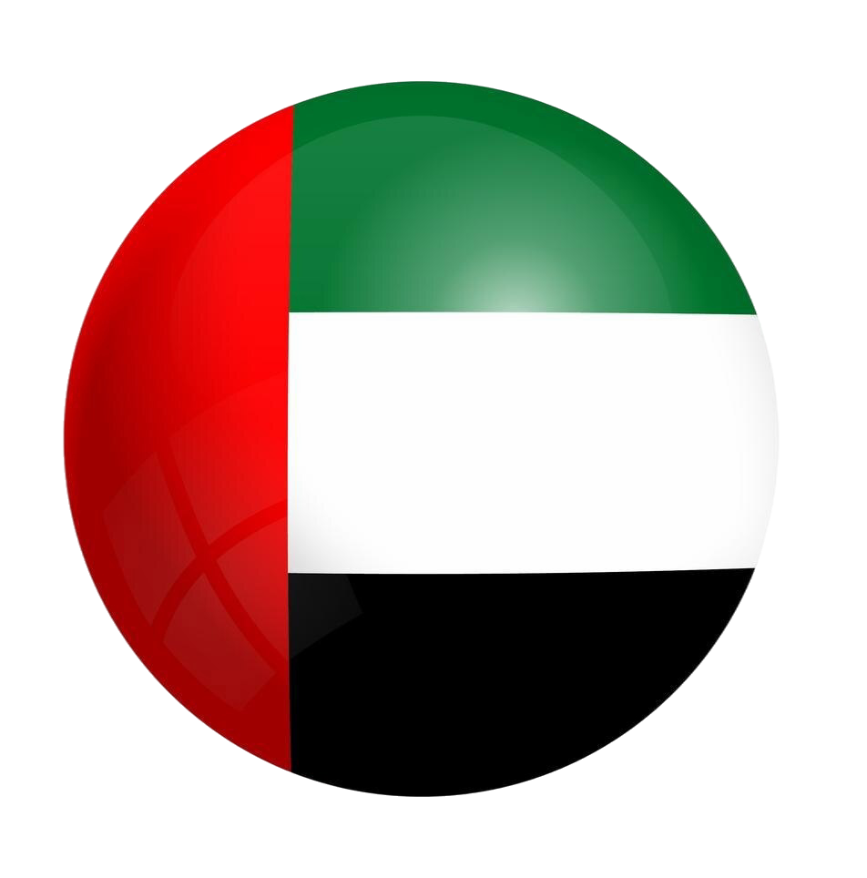 UAE flag
